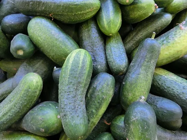 bulk of cucumbers