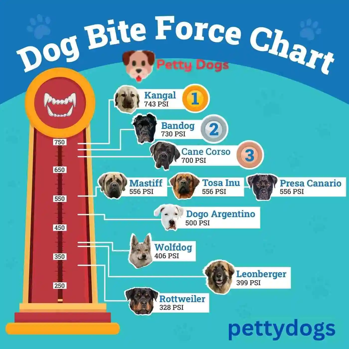 dog bite force chart pettydogs