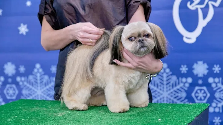 girl hold head of dog