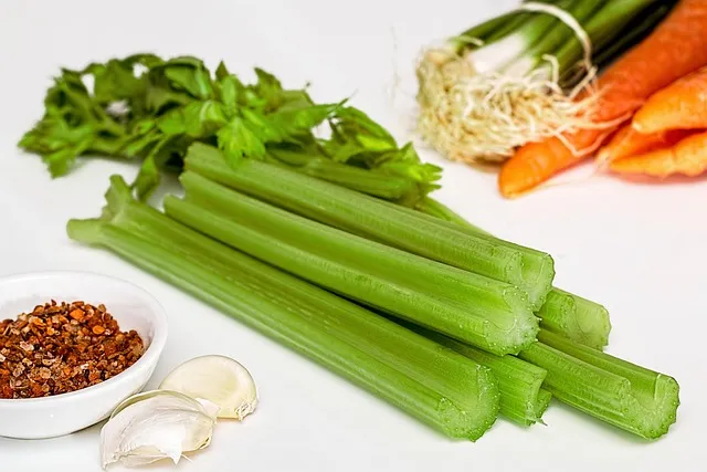 Dogs Eat Celery