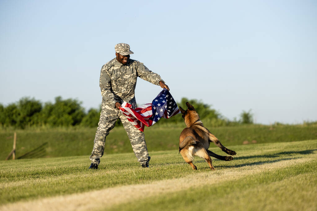 Soldier carrying USA flag and playing with military dog in the camp.