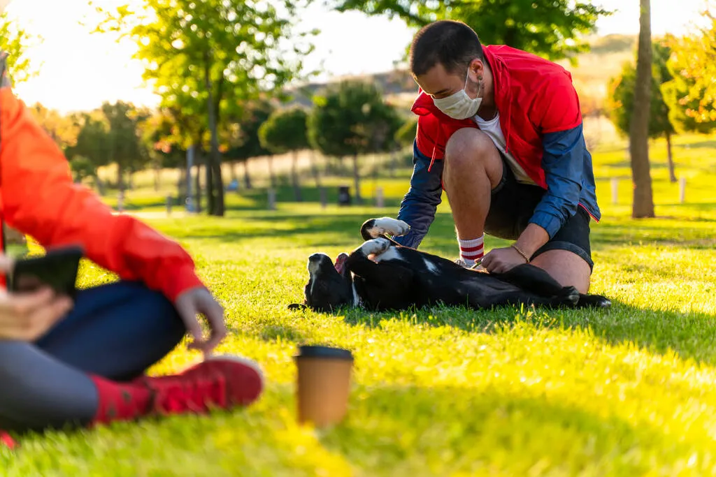 Young couple wearing a protective mask is walking alone with a dog outdoors because of the corona virus pandemic covid-19