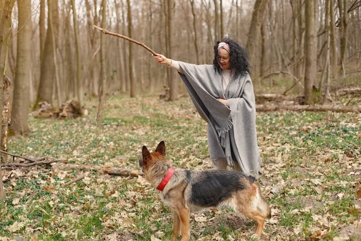 adult-woman-spring-forest-with-shiloh shepherd