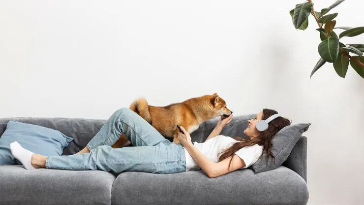 Australian Retriever Spend time with girl